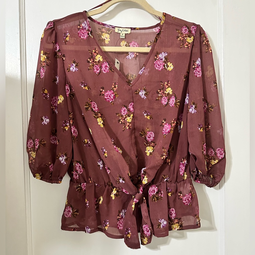Francesca’s Sheer Top